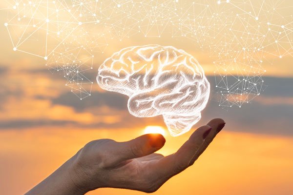 Brain in activity, illustrating the speed of judgment