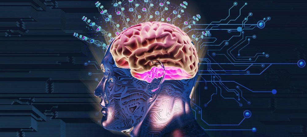 Conceptual illustration showing a brain