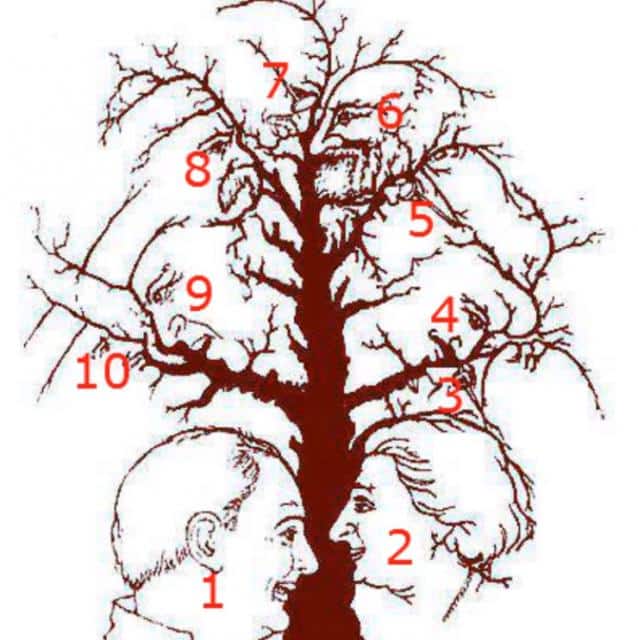 Detail of tree illusion with faces
