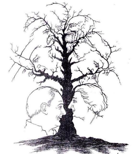 Tree of Appearances