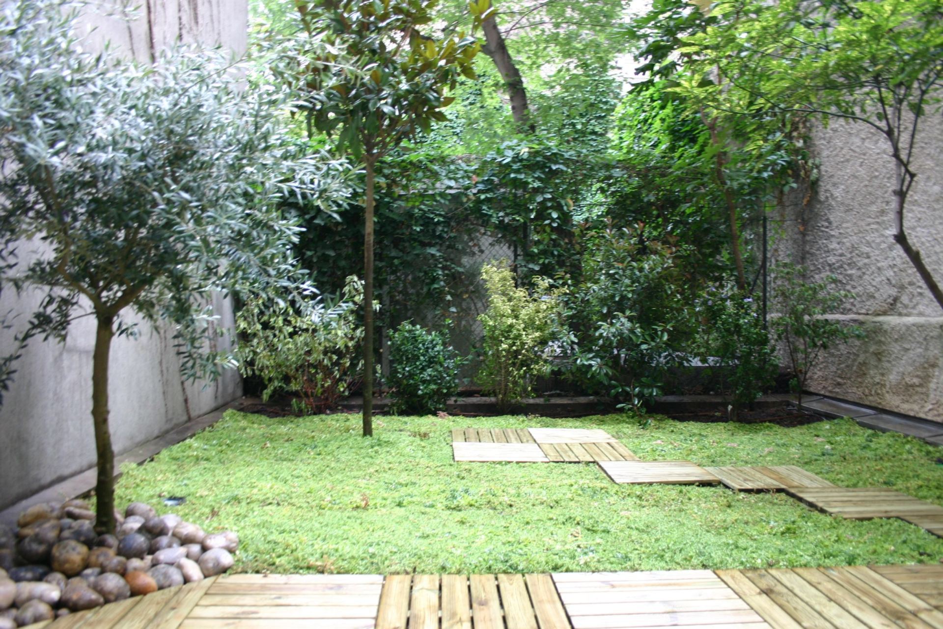 Small garden with tomato plants