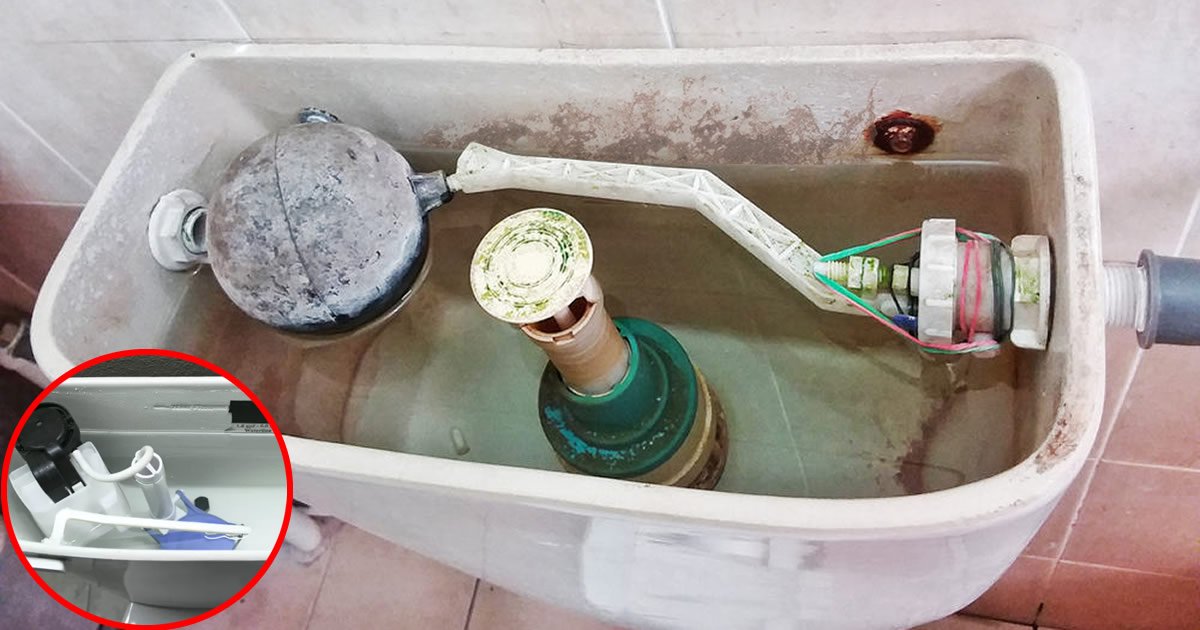 Cleaning the toilet tank